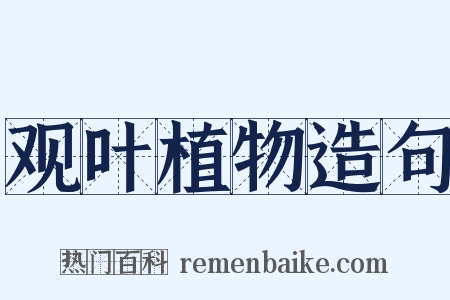 观叶植物造句是什么意思的图片